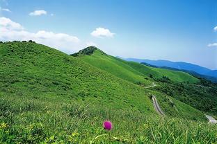 雷竞技app下载苹果版